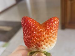 -鼎原力量东北吊炉烧烤(临河街店)