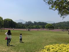 -福建鲤鱼洲酒店