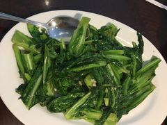 蒜蓉油麦菜-富满美食