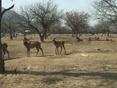 -西安秦岭野生动物园
