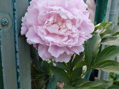 -河南省黄河迎宾馆