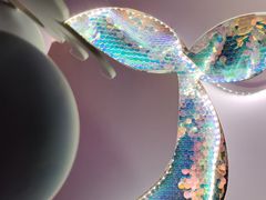 -InParty·游艇求婚策划生日派对布置(世纪大道店)