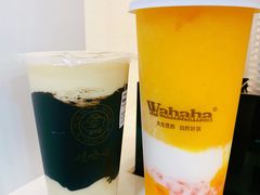 -娃哈哈·奶茶(武林店)