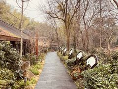 -天目湖涵田半山温泉