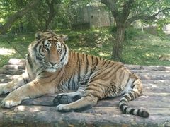 -西安秦岭野生动物园