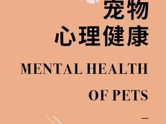 -曼朗心理咨询·旗舰店