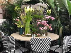 -PlantsEatery·植物食堂(REX春熙店)