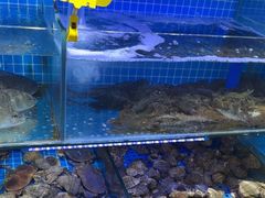 -前王院•巧克力海鲜市集餐厅(万平口店)