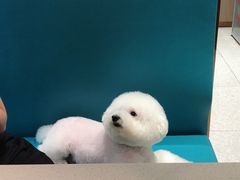 -半天妖烤鱼(紫荆广场店)