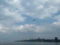 -宾朋海鲜特色美食餐厅·纯手工鲅鱼水饺(兴海路店)