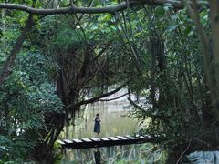 -深圳国际园林花卉博览园