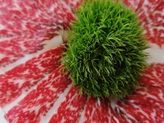 -牛将军•涮肉•烤肉•铁板烧(北京王府井·故宫店)