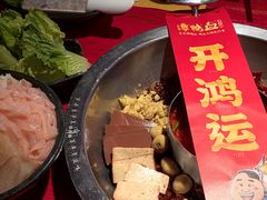 -谭鸭血老火锅(万象九宜城店)