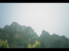-仙蘑洞