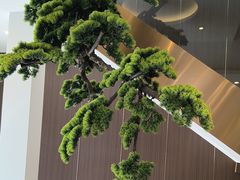 -正清和·推拿养生(二七广场店)