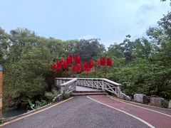 -花溪公园