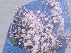 -双季花艺园艺市场(浦东店)