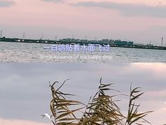 -莲花岛景区
