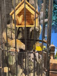 -酷嗒动物文化乐园(cutezoo西溪乐天城店)