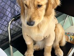 -怪兽屋·羊驼·猫咖·狗咖(俊华广场店)