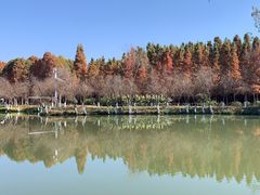 -捞渔河湿地公园