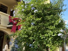 -东钱湖旅游度假区