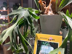 -瑞虹新天地月亮湾