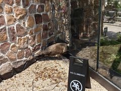 -J Create城市露营咖啡·简餐·宠物(上海动物园店)