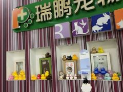 -瑞鹏·疫苗·绝育·宠物医院(金沙洲店)