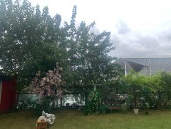 -WPlus明星肖像亲子全家福摄影