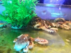 -V-ONE西雅图海鲜自助餐厅(仓山万达广场店)