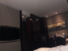 -常州环球恐龙城维景国际大酒店