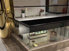 -绿杨春·淮扬宴(庐山路店)