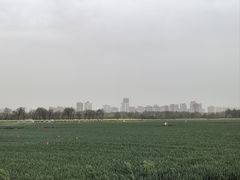 -汉长安城未央宫国家考古遗址公园