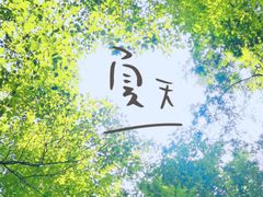 -东平国家森林公园