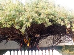 -北京鲁迅博物馆(北京新文化运动纪念馆鲁博馆区)