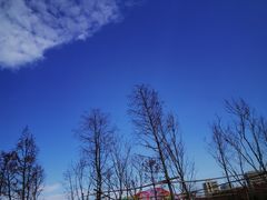 -南汇新城城市公园