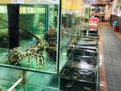 水产区-寻味顺德·南记酒家·传统顺德菜·鱼生(广源路店)