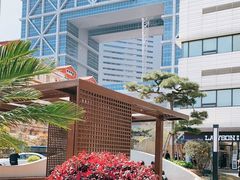 -上海市东方医院(总院)