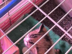 -双季花艺园艺市场(浦东店)