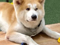 -YCHL Studios健身工作室(市二宫店)