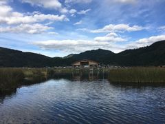 -腾冲北海湿地