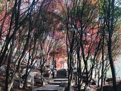 -崂山巨峰游览区