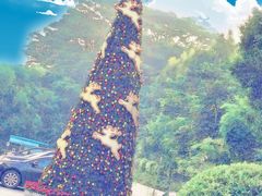 -深圳博林圣海伦酒店