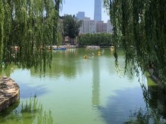-团结湖公园