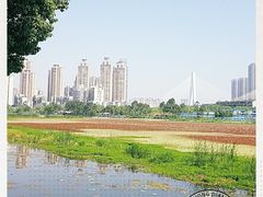 -月湖风景区