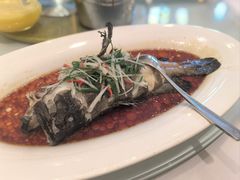 -老洋房花园饭店(绍兴路店)