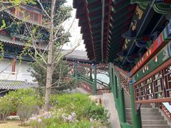 -迎泽公园