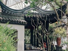 -上海醉白池公园