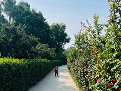 -意大利农场度假村